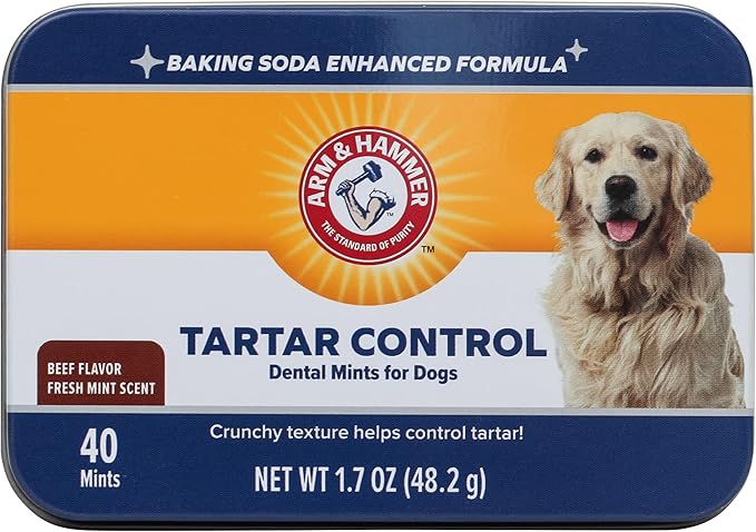 Arm & Hammer for Pets Tartar Control Dental Mints for Dogs, Reduces Plaque & Tartar Buildup Without Brushing, Freshens Dog Breath, Beef Flavor, Fresh Mint Scent, 40 Count, Medium Breeds - 2 Pack