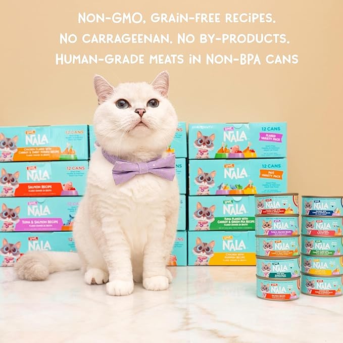 LOVE, NALA - Natural Adult Cat Wet Food - Chicken Pate with Carrot and Pumpkin Recipe - 2.8 oz, Pack of 24 Cans, Grain-Free, Non-GMO, No Gums, No Carrageenan