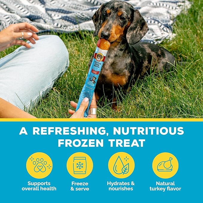 Brutus Brothcicles Frozen Dog Treats - Turkey Flavor Dog Popsicle Snack, Hydrating Frozen Enrichment Treat with Superfoods,12 Fl Oz Pack of 1 (2 oz per Stick)