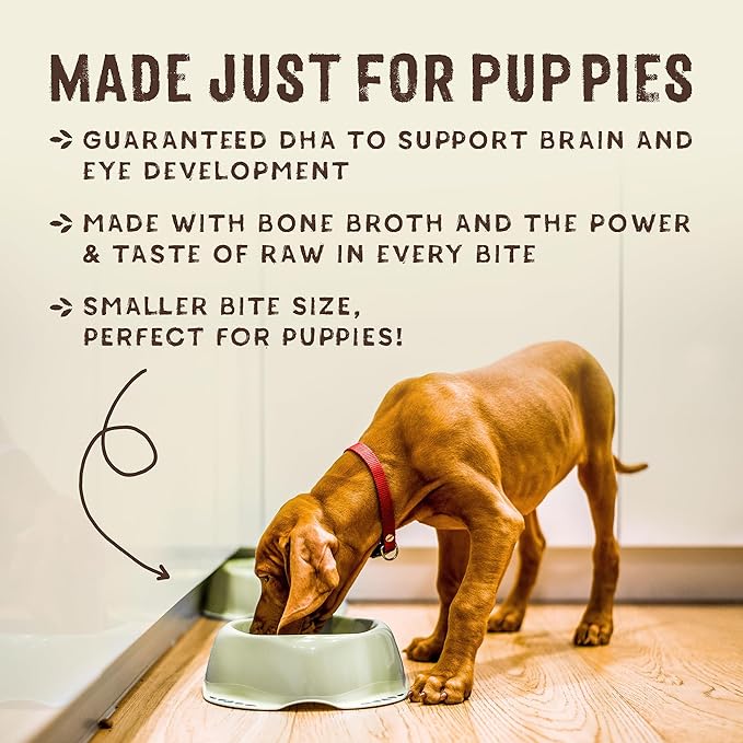 Stella & Chewy's SuperBlends Raw Coated Wholesome Grains Puppy Cage-Free Chicken & Wild-Caught Salmon Recipe with Superfoods, 21 lb. Bag