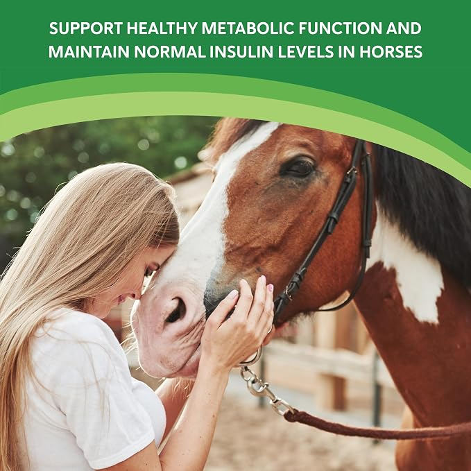 HEIRO Healthy Equine Insulin Rescue Nutritional Supplement for Horses, Natural Herbal Blend with Magnesium & Vitamin E, Supports Normal Metabolic Function & Hoof Comfort (40 Servings)