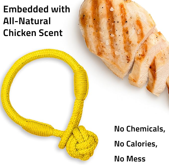 Playology Dog Toys | Tough Tug Knot for Puppies and Young Dogs | Chicken Scented Medium Chew Toy Tug Rope | Tug of War Puppy Essentials