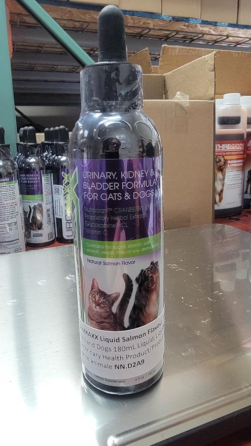 UroMAXX, Cat & Dog Urinary Tract Treatment, Bladder & Kidney Support for Dogs and Cats, Powerful Yet Gentle Pet Care, with Liquid Cranberry & Glucosamine, Salmon Flavor, 6 oz Bottle, 1 Pack