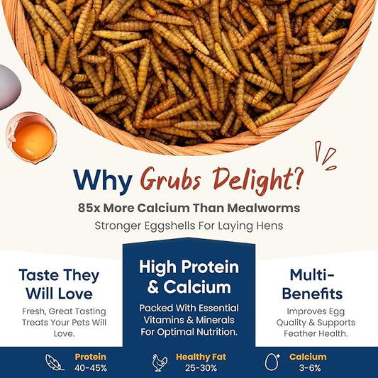5LB Dried Black Soldier Fly Larvae for Chickens – 85x More Calcium Than Mealworms, for Chickens and Birds, 100% Natural Non-GMO Chicken Worms Treats, High Protein & Calcium Poultry Feed