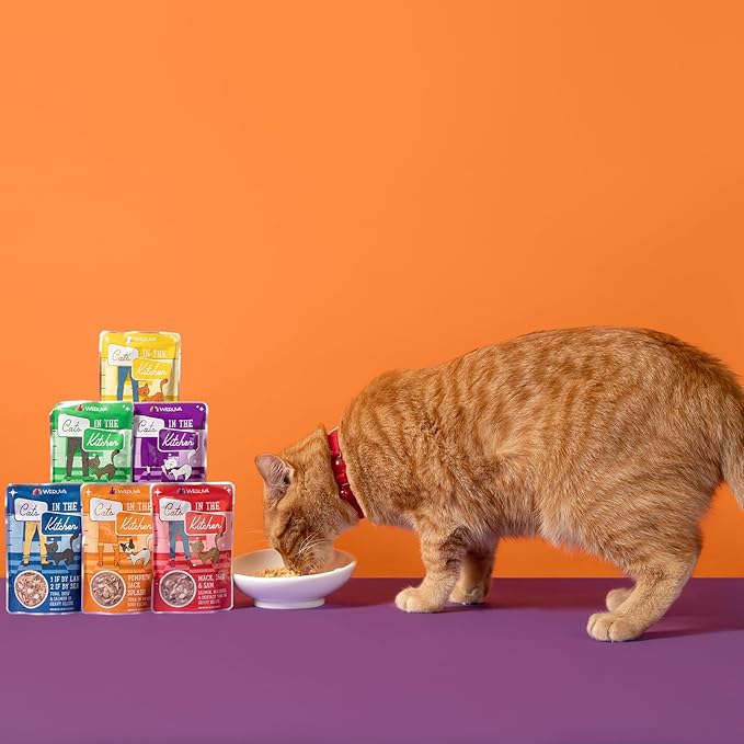 Weruva Cats in the Kitchen, Pantry Party Pouch Variety Pack in Gravy Cat Food, 3oz Pouch (Pack of 12)
