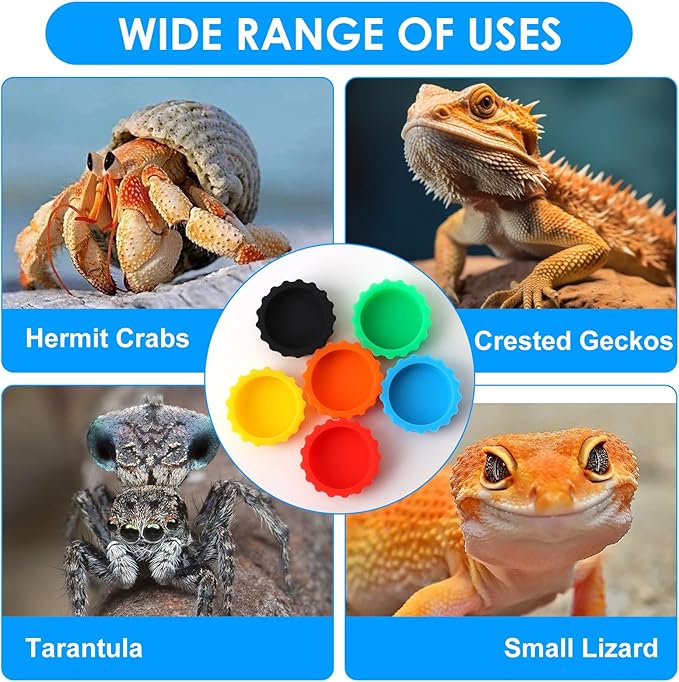 6 Pcs Crested Gecko Food and Water Bowl with 1 Spoon, Reptile Feeding Cups for Lizards, Isopods & Small Pets, Easy-Clean Silicone Set