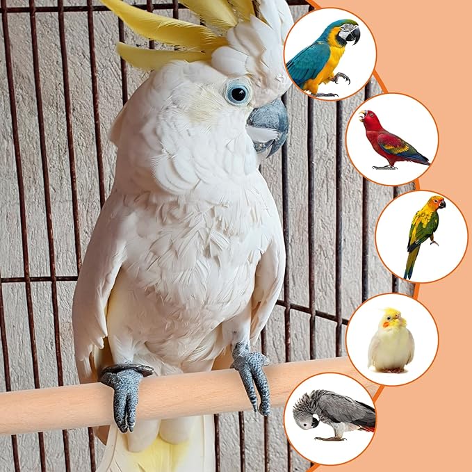 5PCS Parakeet Perches Wooden Bird Perches Bird-Perches for Cage Wood Perch with Different Widths Bird-Cage Toys Birds Cage Accessories for Macaws, Small Parakeets, Conures, Budgies, Finches