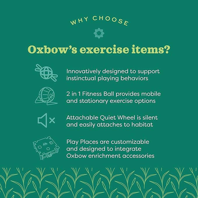 Oxbow Enriched Life Run 'N Rattle, Natural Wood Chew Toy for Rabbits, Guinea Pigs, and Hamsters, Promotes Dental Health and Foraging, Safe Enrichment Accessory, Small Pet Treating Toy
