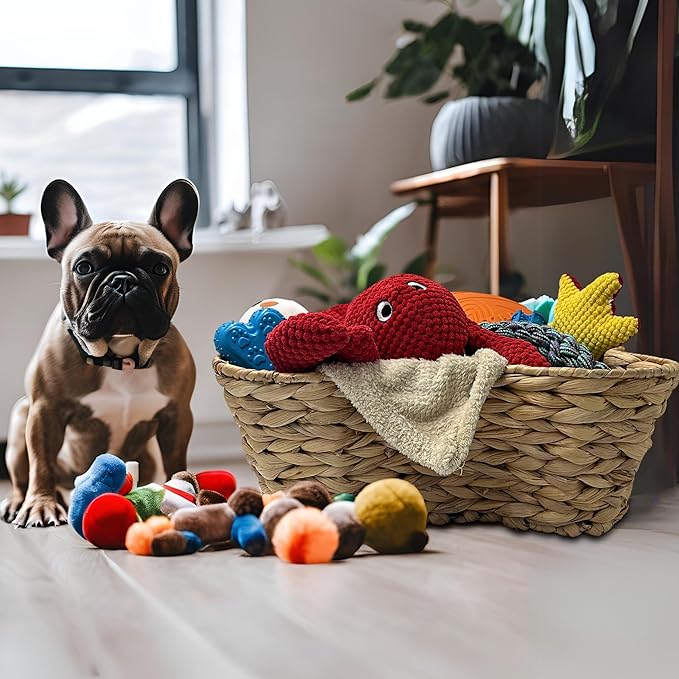 OtterPets Dog Toy Basket, Hyacinth Cat & Dog Bone Shaped Basket, Wicker Pet Toy Bin Organizer, Dog Toy Storage (17x13 Hyacinth)