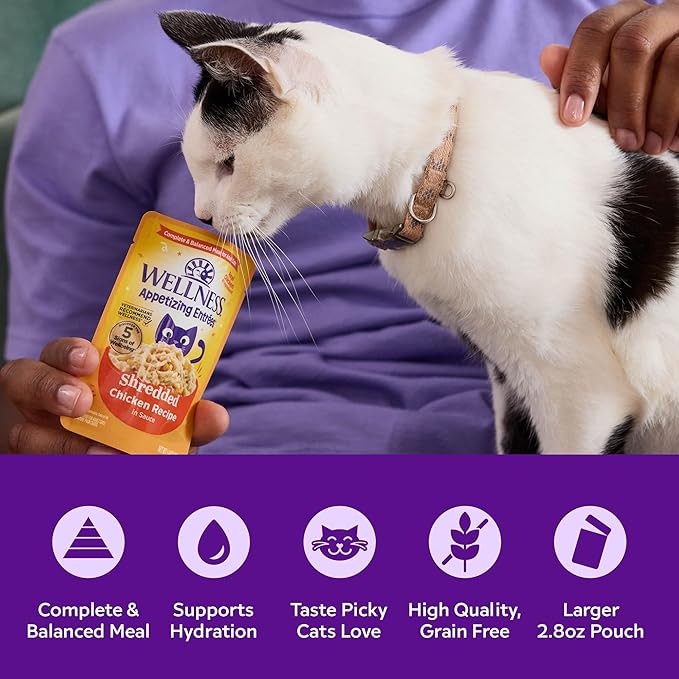 Wellness Appetizing Entrées Flaked, Shredded and Mousse Variety Pack Adult Wet Cat Food, Natural, Protein-Rich, Grain Free, Seafood & Poultry Recipes, 2.8 oz, Pack of 8 Pouches