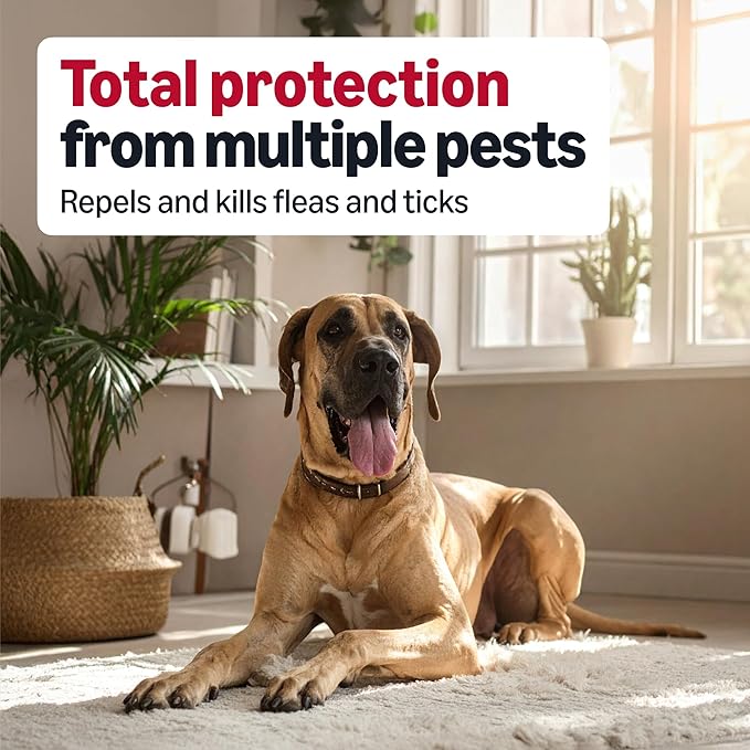 Amazon Basics Flea and Tick Topical Treatment and Prevention for Extra Large Dogs (89-132 lbs), Kills Fleas and Ticks, Waterproof, Monthly Application, 6 Count, Packaging May Vary