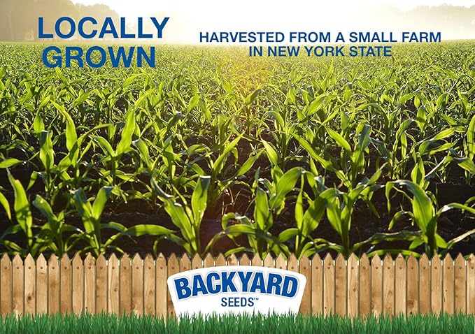 CountryMax Backyard Seeds Whole Corn 50 lbs - High-Energy Animal Feed for Chickens, Squirrels, Deer & Wild Birds, Ground Feeding, High Protein