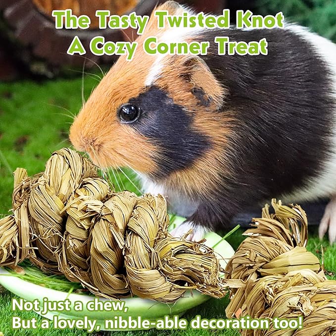 Tfwadmx 3 Pcs Rabbit Chew Toys for Teeth, Small Animal Molar Toys Treats Bunny Natural Grass Chew Toys Snacks Knot for Bunnies Guinea Pigs Hamsters Chinchillas