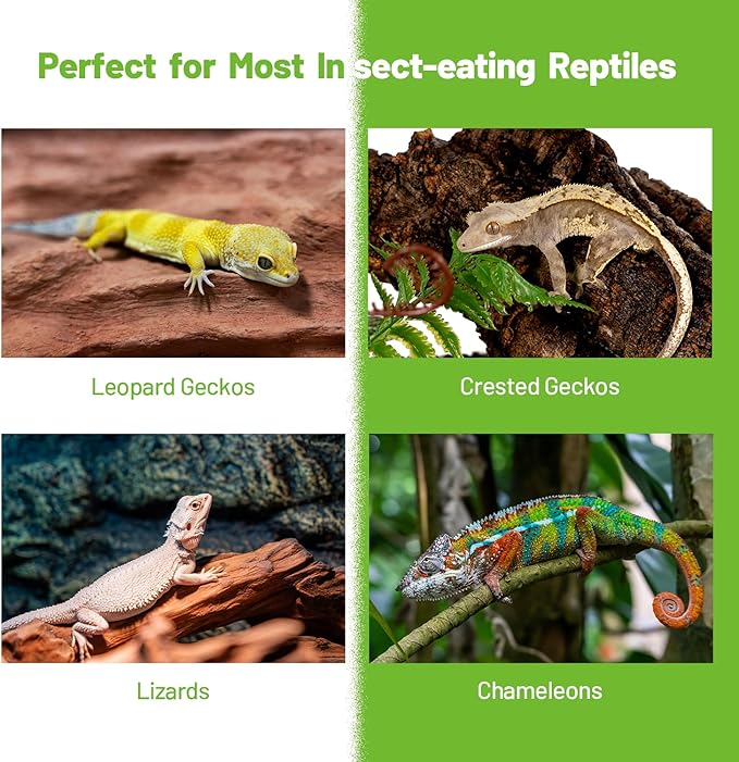 Gecko Food Insect Puree, Silkworm Paste Reptile Food Made with Fresh Insects