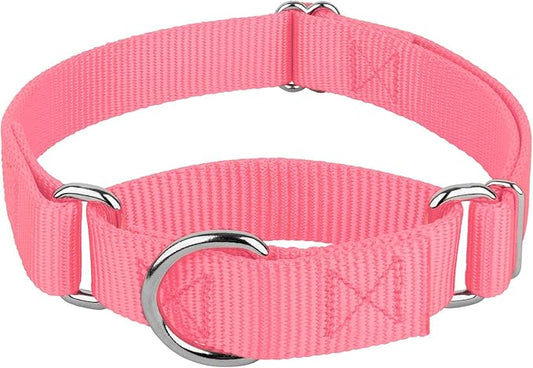 Country Brook Petz - Martingale Dog Collar - Heavy-Duty Training Collar with No Buckle - Service Dog Collar for All Pups - 20 Vibrant Colors (Pink, 5/8 Inch, Extra Small)