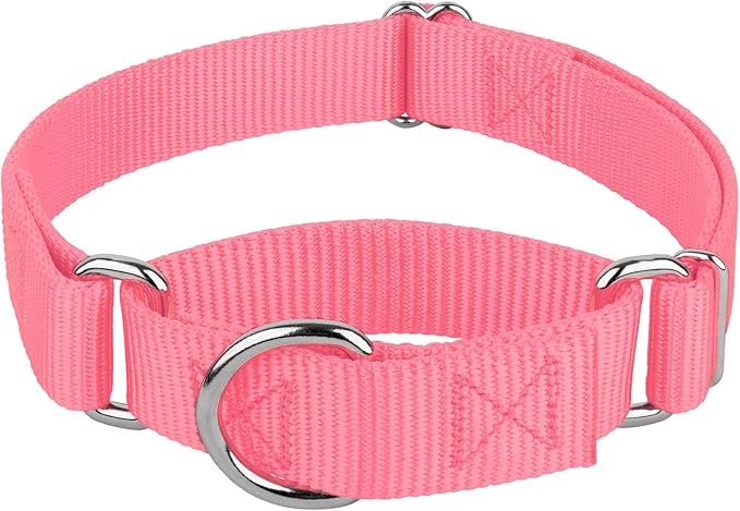 Country Brook Petz - Martingale Dog Collar - Heavy-Duty Training Collar with No Buckle - Service Dog Collar for All Pups - 20 Vibrant Colors (Pink, 1 Inch, Large)