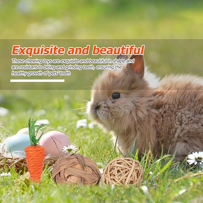 Beaupretty 9pcs Rabbit and Hamster Chew Set for Teeth Cleaning, Natural Wood Molar, Small Animal Dental Care Accessories for Bunnies, Guinea Pigs, and Chinchillas
