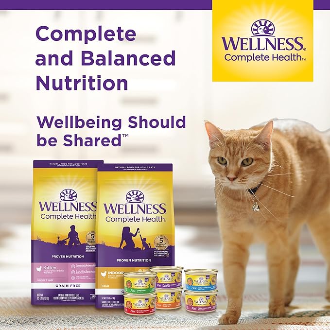 Wellness Complete Health Senior Dry Cat Food, Natural, Grain Free Kibble, Chicken Recipe, 5.5 lb Bag
