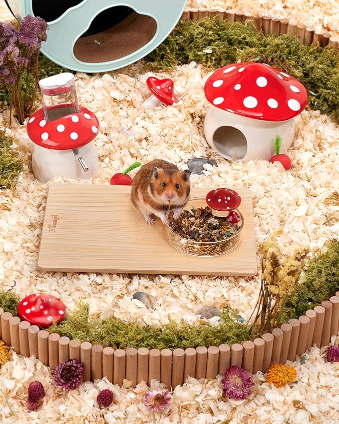Niteangel Hamster Feeding & Water Bowls- Mushroom Ceramics Series Food Dish Feeding Bowls for Dwarf Syrian Hamsters Gerbils Mice Rats or Other Similar-Sized Small Pets (Feeding Bowl, Glass)