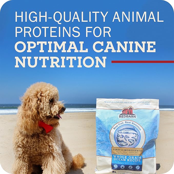 Redbarn Grain-Free Puppy Dry Dog Food Kibble 22 lbs - Beef & Lamb Recipe with DHA, EPA, Probiotics for Brain Development, Digestive Health, Skin & Coat Support, Made in USA