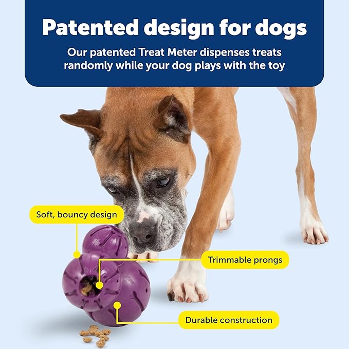 PetSafe Busy Buddy Barnacle, Large