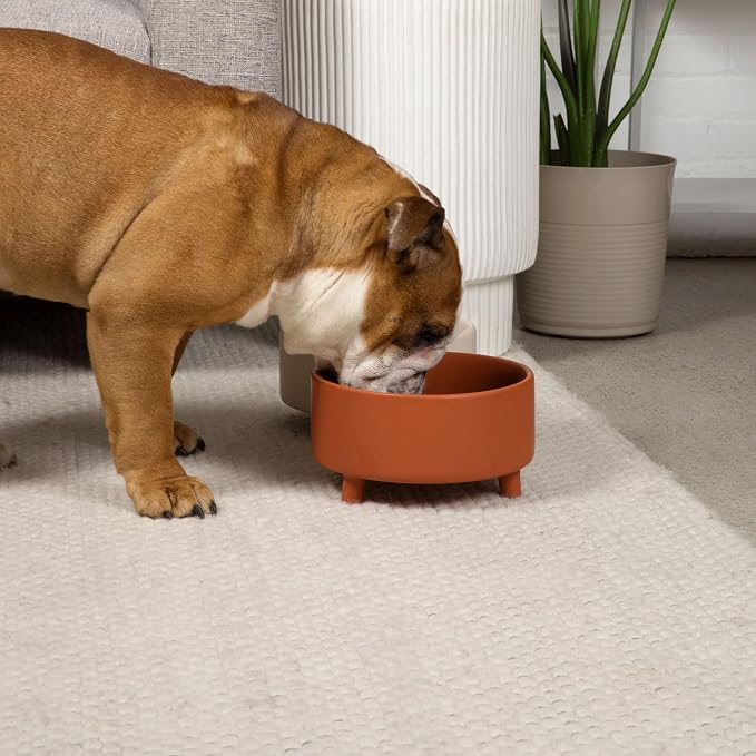 Waggo Uplift Ceramic Dog Bowl for Small Medium and Large Breeds - Heavyweight and Durable Pet Food and Water Dish Crock, Dishwasher Safe, Modern, Elevated Feeder (Teracotta, Medium)