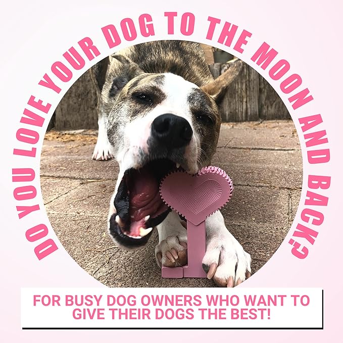 Bullibone Nylon Dog Chew Toy for Aggressive Chewers - Dental Hygiene Bone with Peppermint Flavor, Durable Tough Chew Toys for Large Dogs, Indestructible Dog Bone - 3 Pack