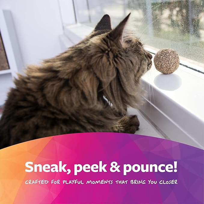 SmartyKat Catnip Toy, Compressed Catnip Ball for Indoor Cats & Kittens, Encourages Play with Less Mess, Cat Toy for All Ages, 5-Pack