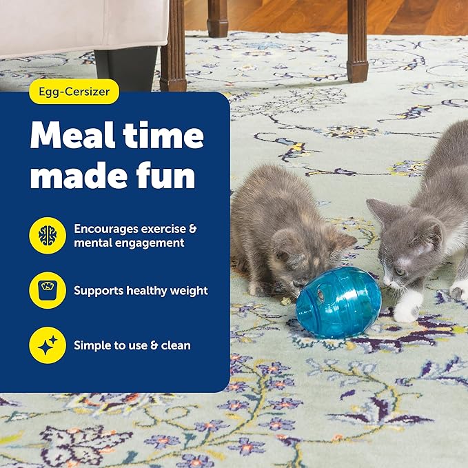 PetSafe FUNKitty Egg Cersizer - Cat Slow Feeder - Interactive Cat Meal Dispensing Toy - Great for Portion Control and Fast Eaters - Improve Digestion - Cat Enrichment and Exercise Toy