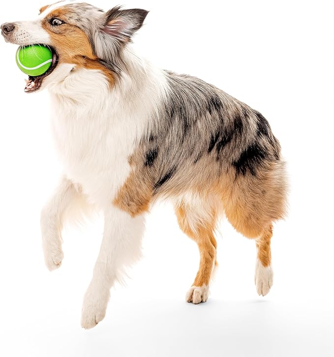 Playology Dog Toys | Squeaky Chew Ball for Large Dogs | Sweet Potato Scented Jumbo Dog Ball | Bouncy Floating Chew Toys for Fetch