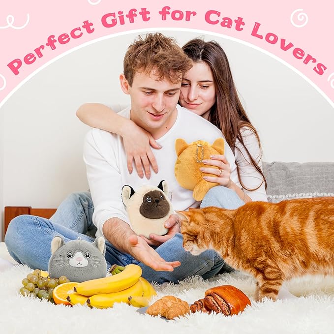Muiteiur 6Pcs Cat Stuffed Animal Keychain Set, 3.94 Inch Adorable Plush Cats with Clip, Small Stuffed Animal Gift for Cat Lovers