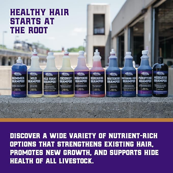 Weaver Livestock Mild Shampoo, Gentle, Effective Coconut-Based Hide, Hair and Wool Shampoo, Daily Use, Cattle Show Supplies