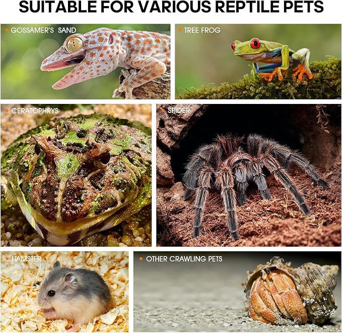 Jumping Spider Enclosure, Insect Terrarium, Bug Cage, Acrylic Terrarium for Tarantula, Snail, Praying Mantis, Frog, and Small Reptiles, Includes Tweezer and Bowl, (11.8" x 7.8" x 5.9")
