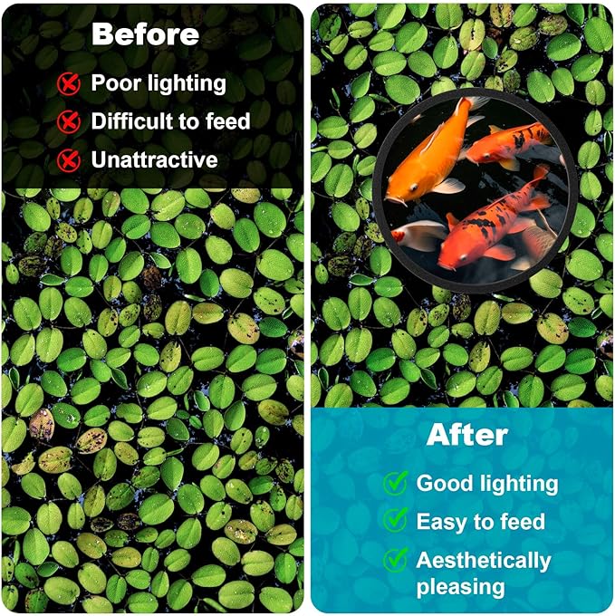 OIIKI 10 PCS Fish Feeding Rings Sets, Floating Aquarium Plant Corral, Floating Plant Rings, Oval and Square Fish Feeding Rings, Fish Tank Aquarium Accessories for Fish Tank, Floating Plants - Black
