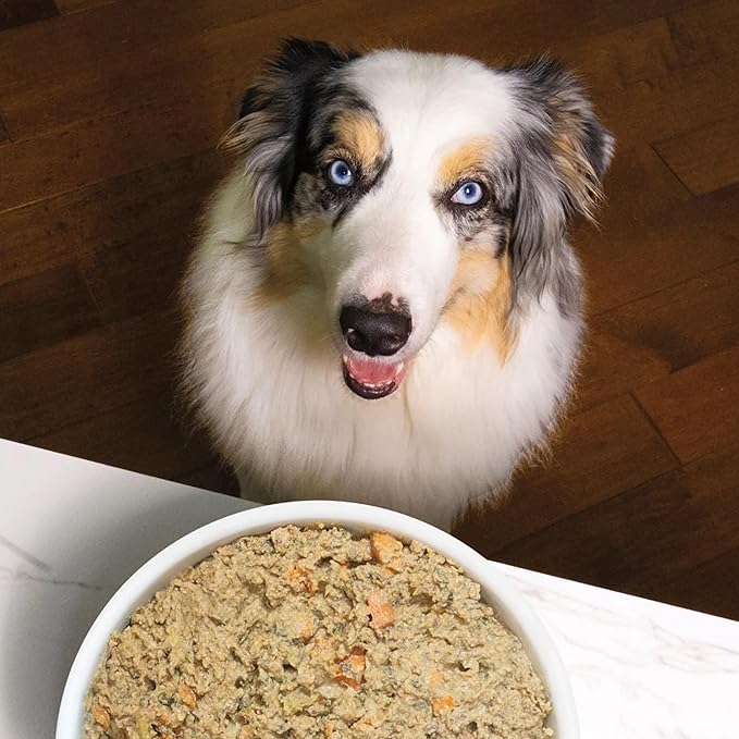 Open Farm, Tummy Rescue Freshly Crafted Dog Food, Grain Inclusive, 16oz Pouch (Pack of 16)