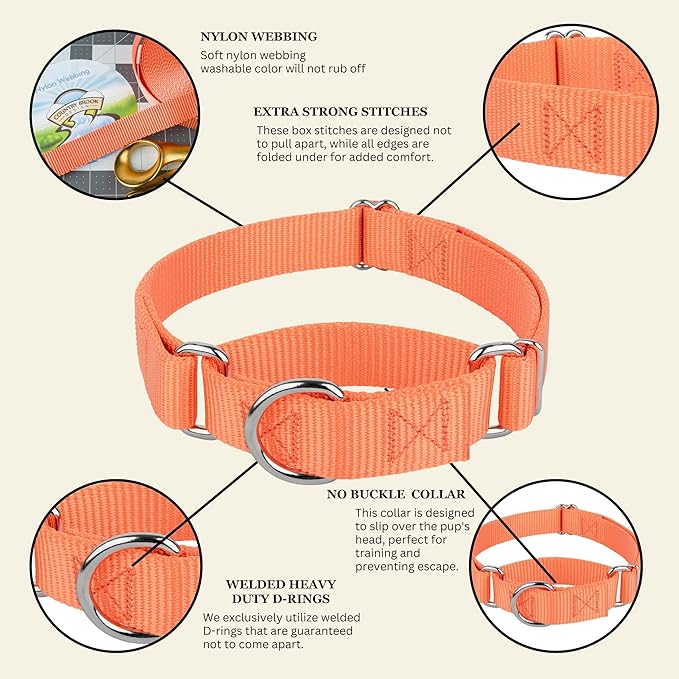 Country Brook Petz - Martingale Dog Collar - Heavy-Duty Training Collar with No Buckle - Service Dog Collar for All Pups - 20 Vibrant Colors (Mango, 1 Inch, Medium)
