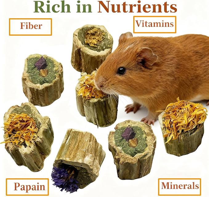 200G Rabbit Chew Toys Guinea Pig Treats Natural Papaya Wood Chew Sticks for Teeth Bunny Guinea Pig Hamster Chinchilla