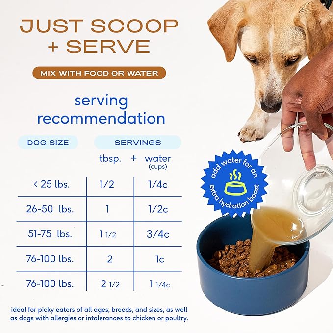 Native Pet Omega Oil for Dogs (8 oz.) & Beef Bone Broth for Dogs (4.75 oz.) - Made with Wild Alaskan Salmon Oil - EPA DHA and Bone Broth Powder Food Topper for Picky Eater