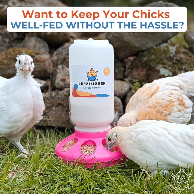 Lil'Clucker 1L Chick Feeder, 1.5L Chicken Waterer - No Leakage Chick Feeder and Waterer Kit, Durable Chicken Water Feeder, Chicken Feeder and Waterer Set, Poultry Waterer (Pink)