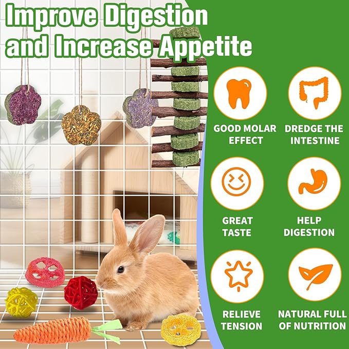 WDEFUN 21PCS Rabbit Chew Toys for Teeth Grinding, Natural Timothy Hay Cakes Treats for Bunny, Organic Apple Wood Sticks Toy Set for Guinea Pigs, Hamsters, Chinchillas,Dental Health & Boredom Relief