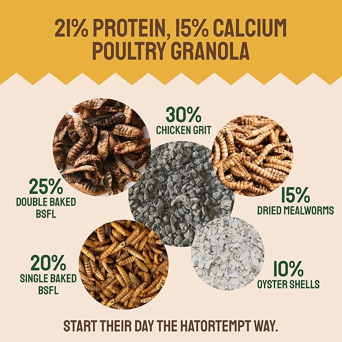 Hatortempt Grubs & Grits Chicken Feed Supplement - 10lb - with Chicken Grit, Mealworms, Black Fly Larvae and Oyster Shells - 21% Protein and 15% Calcium