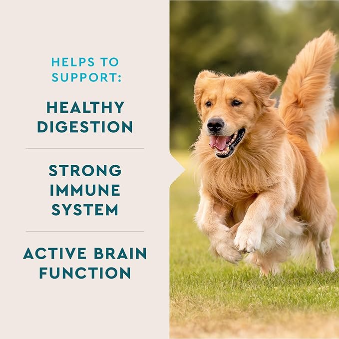 VetIQ Multivitamin Supplement for Dogs, Supports Active Brain Function, Immune System, and Digestive System, Hickory Smoke Flavored Dog Multivitamin, Made in The USA, 90 Count