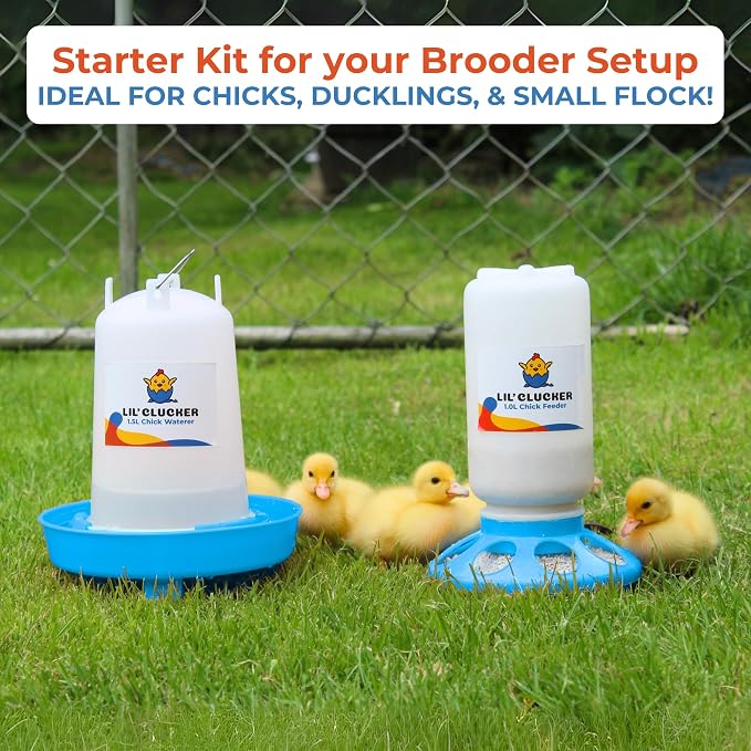 Lil'Clucker 1L Chick Feeder, 1.5L Chicken Waterer - No Leakage Chick Feeder and Waterer Kit, Durable Chicken Water Feeder, Chicken Feeder and Waterer Set, Poultry Waterer (Blue)