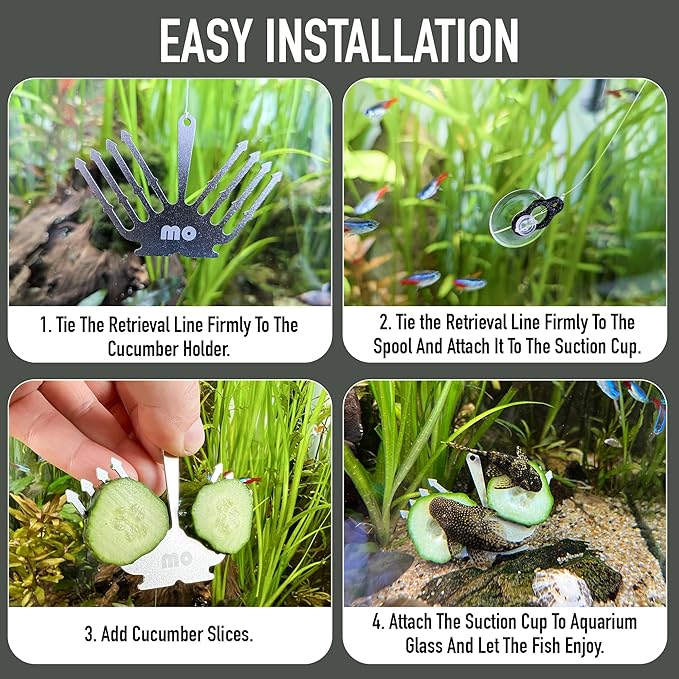 Deluxe Cucumber Holder Fish Pleco Feeder for Aquarium - Shrimp Stainless Steel Feeder Dual-Fork Design with Suction Cup and Retrieval Line for Fresh and Salt Water Fish Tanks, Easy to Use Marine