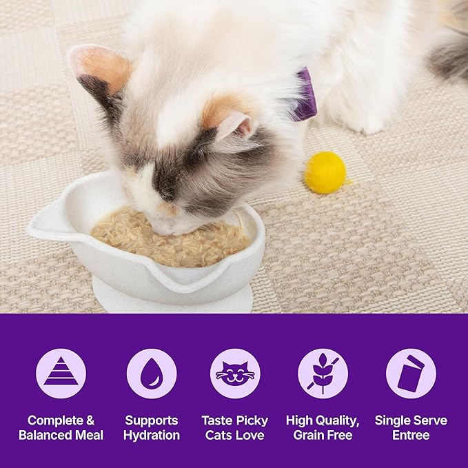 Wellness Appetizing Entrées Flaked, Shredded and Mousse Variety Pack Adult Wet Cat Food, Natural, Protein-Rich, Grain Free, Seafood & Poultry Recipes, 1.4 oz, Pack of 8 Pouches