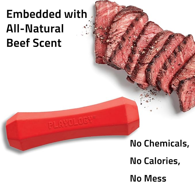 Playology Squeaky Chew Stick Dog Toys, Beef Scented & Peanut Butter Scented for Medium Dogs up to 50 lbs | Engaging All-Natural Scented Dog Chew Toy for Tough Chewers | Easy to Clean & Non-Toxic Mater