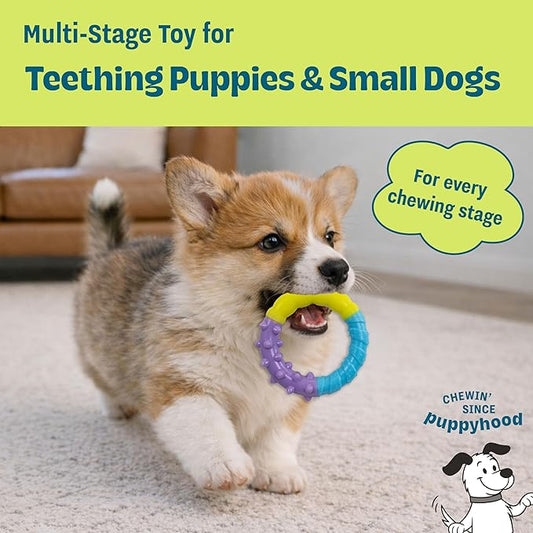Grow-with-Me Ring Dog Chew Toy, Durable Rubber, 3 Texture Zones, Teething Puppies & Small Dogs, 4.7”