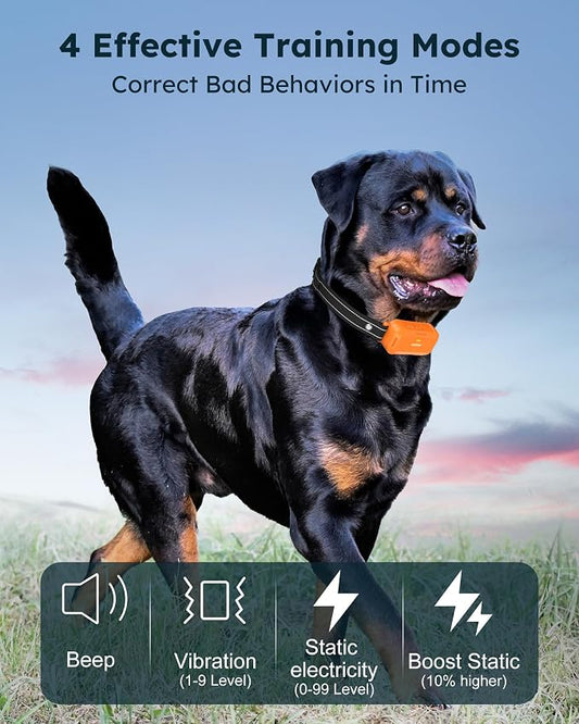 Dog Shock Collar 2 Dogs (10-120Lbs) - 4200FT Dog Training Collars with Remote Control, IPX8 Waterproof Rechargeable E-Collars for Large Medium Small Dog