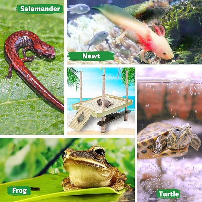 Large Turtle Floating Basking Platform with Feeding Area, Turtle Floating Docks Reptile Climbing Pier and Basking Platform for Tortoise, Frogs, Crabs and Salamanders