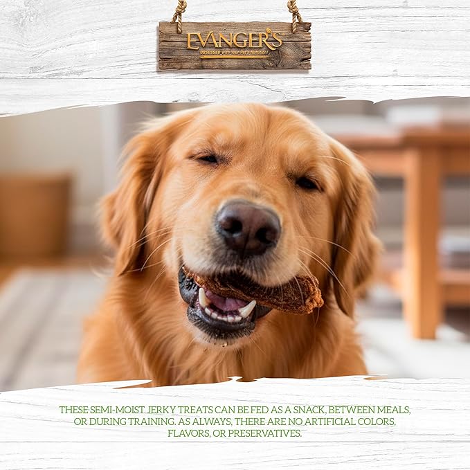 Evanger's Gently Dried Beef Tripe Dog & Cat Treats – 3.5 oz – Single-Ingredient, Grain-Free, Protein-Rich Snack – Supports Optimal Digestive Wellness & Healthy Vibrant Coats